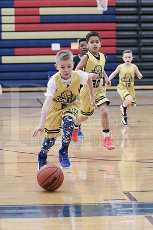 Rockford Elite Basketball vs JR Purgolders 2-24-2019-0192
