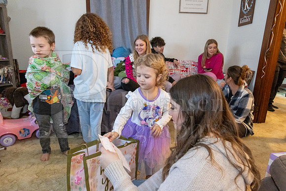 Brinley's 3rd Birthday Party 2-9-2025-1652