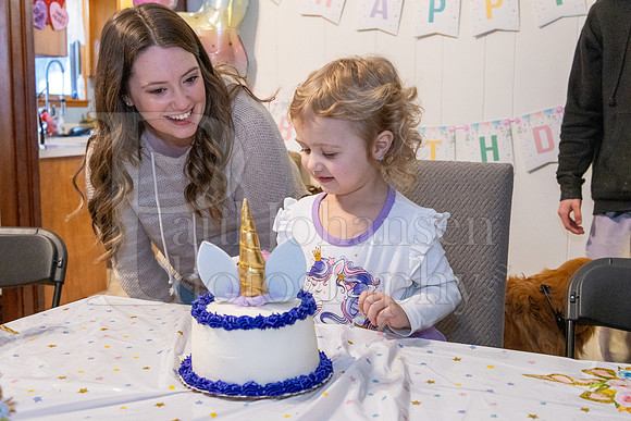 Brinley's 3rd Birthday Party 2-9-2025-1744