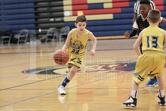 Rockford Elite Basketball vs JR Purgolders 2-24-2019-0311