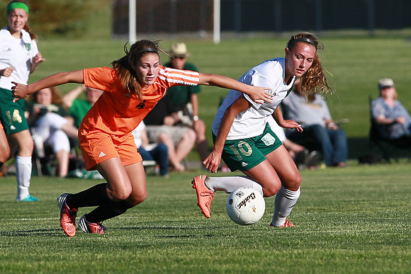 Boylan Girls Varisty Soccer vs Dekalb Sectional Final 5-30-2104-0198