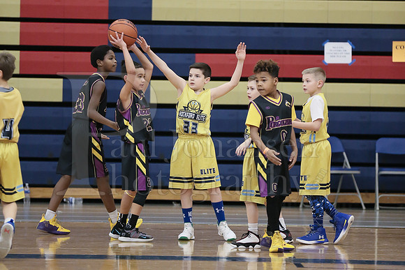Rockford Elite Basketball vs JR Purgolders 2-24-2019-0283