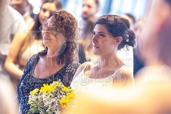 Delehanty Wedding 3-2024-788