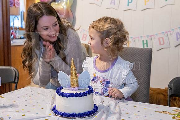 Brinley's 3rd Birthday Party 2-9-2025-1742