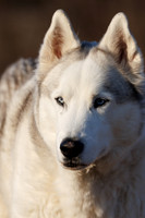 Kato's 13th Birthday Photo Shoot 3-3-2025-0343