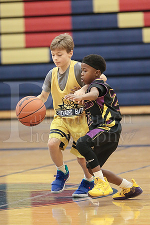 Rockford Elite Basketball vs JR Purgolders 2-24-2019-0290