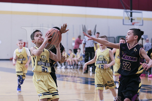 Rockford Elite Basketball vs JR Purgolders 2-24-2019-0267