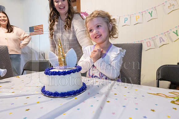 Brinley's 3rd Birthday Party 2-9-2025-1730