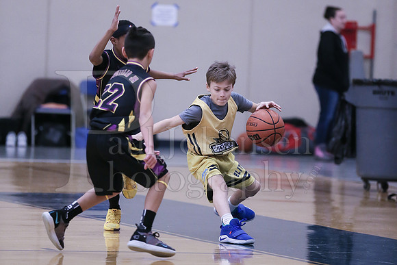 Rockford Elite Basketball vs JR Purgolders 2-24-2019-0167