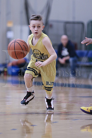Rockford Elite Basketball vs JR Purgolders 2-24-2019-0026