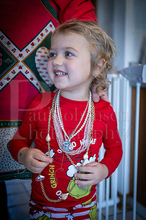 Xmas at Johansens 12-25-2024-0060