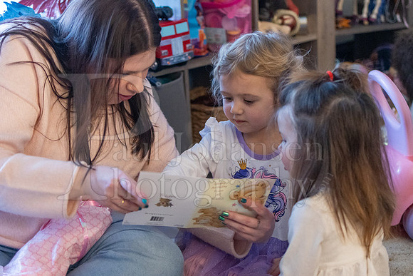 Brinley's 3rd Birthday Party 2-9-2025-1603