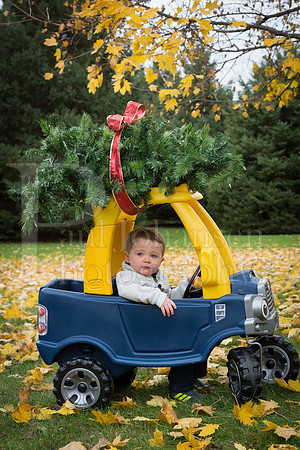 Troyer Family Portraits 11-3-2018-0003