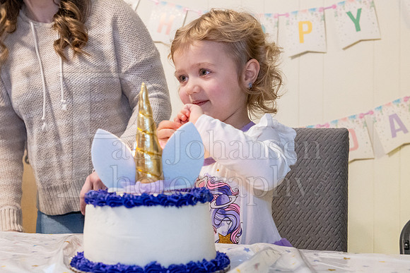 Brinley's 3rd Birthday Party 2-9-2025-1719
