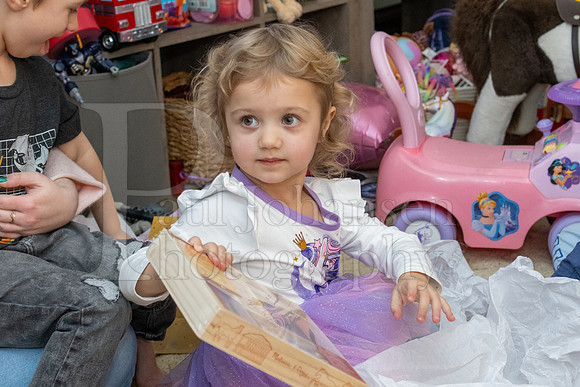Brinley's 3rd Birthday Party 2-9-2025-1609