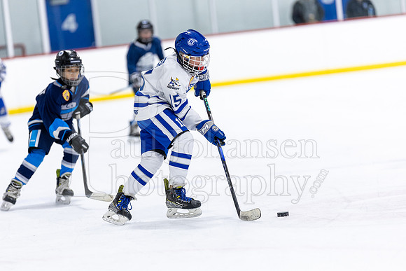 Rockford Hockey Club vs Mammoth 10-27-2024-1266
