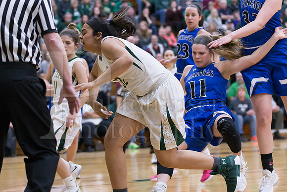 Boylan Girls Varsity Basketball vs Geneva 2-26-2018-0106