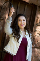 Jenica Bates Senior Images 10-11-2014-8712