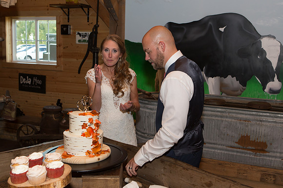 Bauman Stith Wedding 7-15-2017-1846
