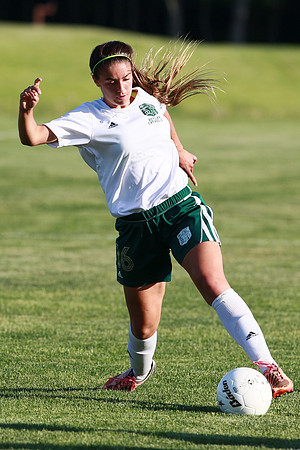 Boylan Girls Varisty Soccer vs Dekalb Sectional Final 5-30-2104-0351