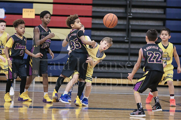 Rockford Elite Basketball vs JR Purgolders 2-24-2019-0279