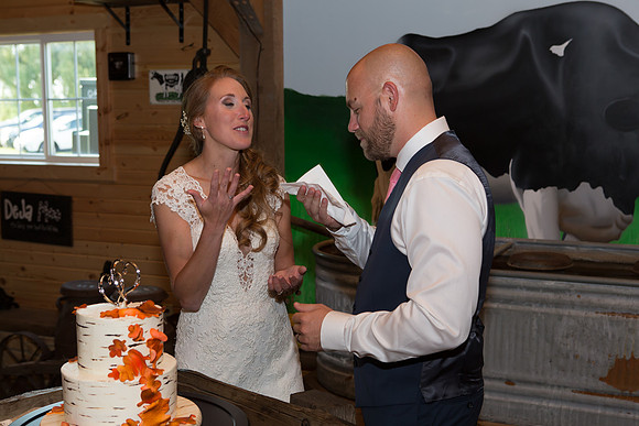 Bauman Stith Wedding 7-15-2017-1845