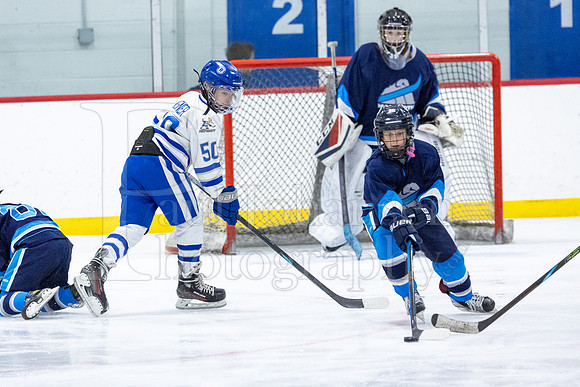 Rockford Hockey Club vs Mammoth 10-27-2024-0056