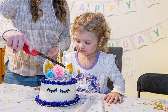 Brinley's 3rd Birthday Party 2-9-2025-1714