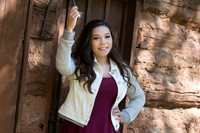 Jenica Bates Senior Images 10-11-2014-8714