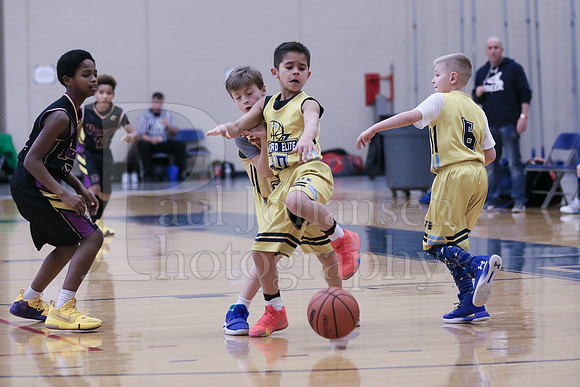 Rockford Elite Basketball vs JR Purgolders 2-24-2019-0264