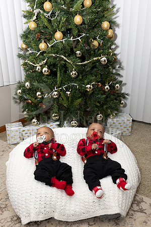 Foreman Family Portraits 12-12-2024-0066