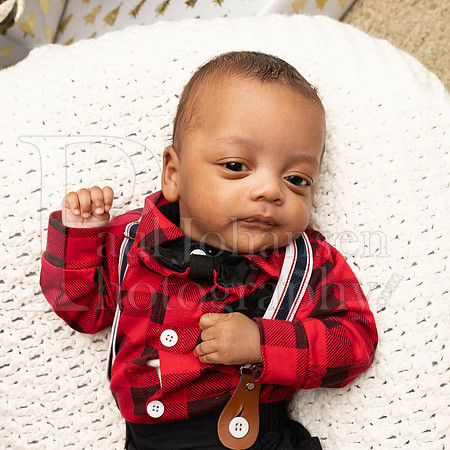 Foreman Family Portraits 12-12-2024-0105