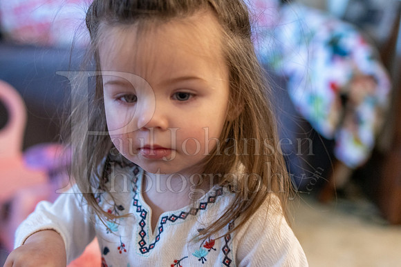 Brinley's 3rd Birthday Party 2-9-2025-1587