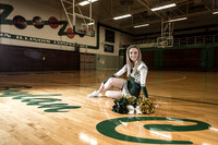 Shannon Garthwaite Senior Images 3-16-2015-0022