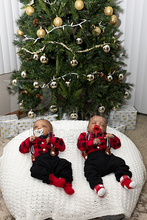 Foreman Family Portraits 12-12-2024-0067