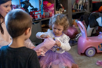 Brinley's 3rd Birthday Party 2-9-2025-1604