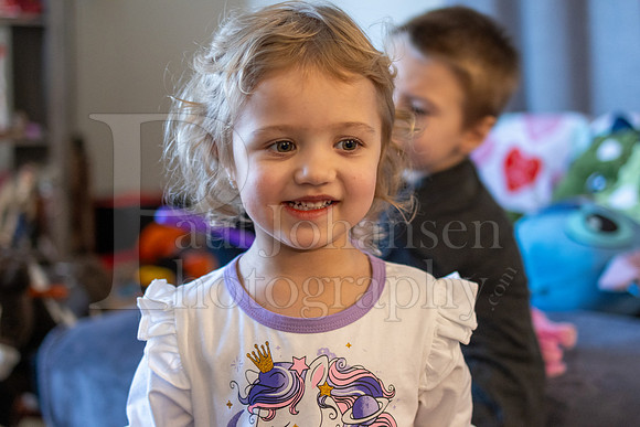 Brinley's 3rd Birthday Party 2-9-2025-1583