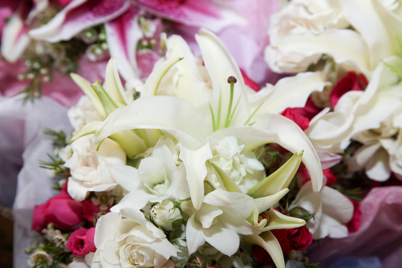 Troyer Wedding-8306