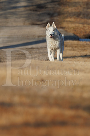 Kato's 13th Birthday Photo Shoot 3-3-2025-0011