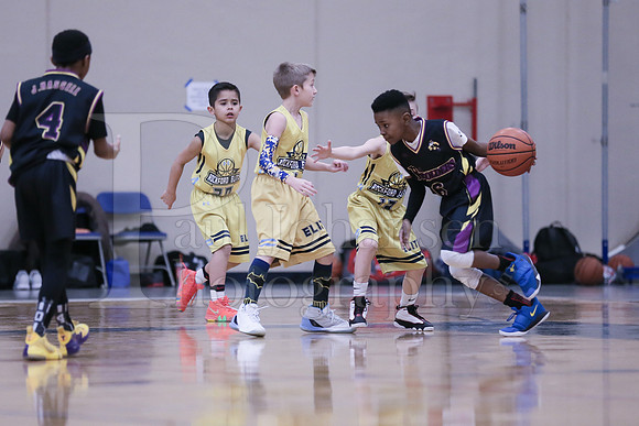 Rockford Elite Basketball vs JR Purgolders 2-24-2019-0059