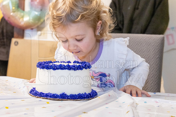 Brinley's 3rd Birthday Party 2-9-2025-1760