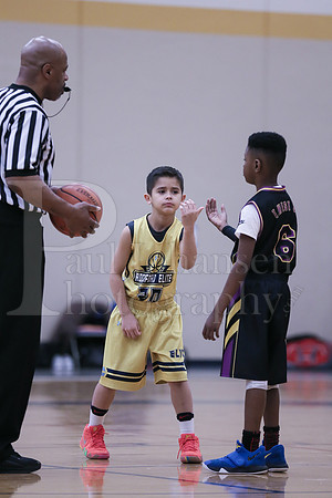 Rockford Elite Basketball vs JR Purgolders 2-24-2019-0017