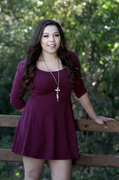Jenica Bates Senior Images 10-11-2014-8743