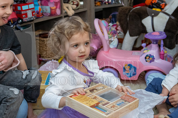 Brinley's 3rd Birthday Party 2-9-2025-1608