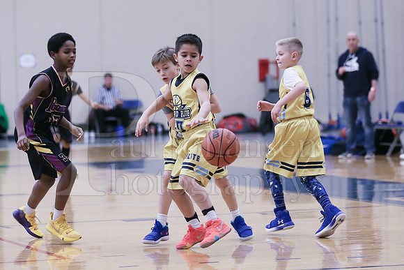 Rockford Elite Basketball vs JR Purgolders 2-24-2019-0265