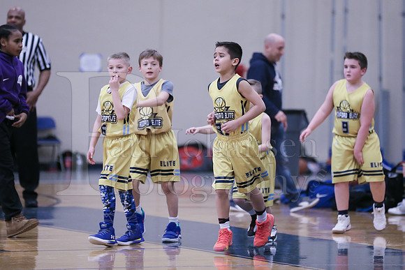 Rockford Elite Basketball vs JR Purgolders 2-24-2019-0223