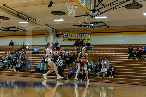 Boylan Girls Varsity Basketball vs Belvidere 1-10-2023-1579