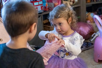 Brinley's 3rd Birthday Party 2-9-2025-1605