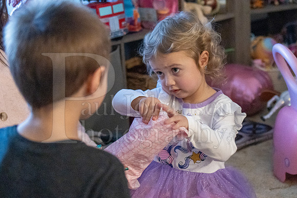 Brinley's 3rd Birthday Party 2-9-2025-1605