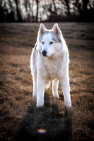 Kato's 13th Birthday Photo Shoot 3-3-2025-0239